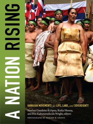 cover image of A Nation Rising